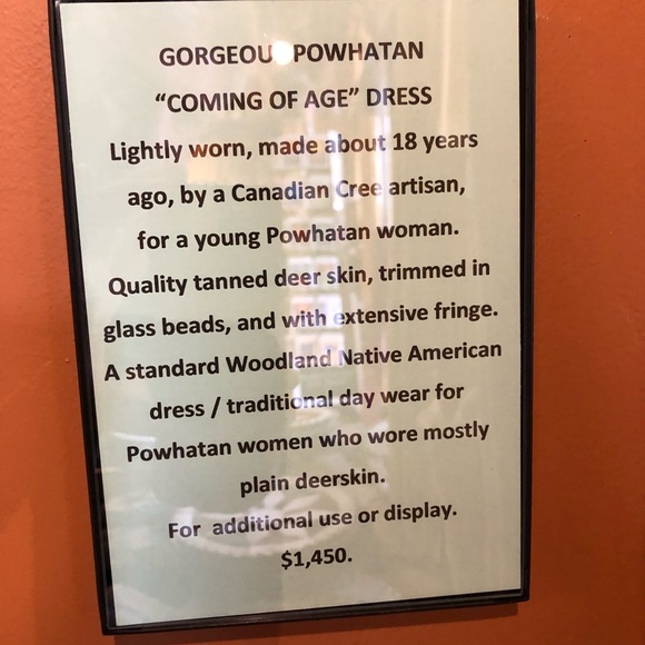 Buckskin Beautiful Handmade Native American Indian Regalia Dress - Picture 5 of 5